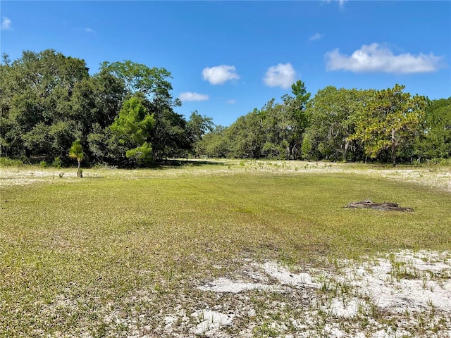 5031 Lisk Ln, Lake Wales, FL 33859 - photo 25