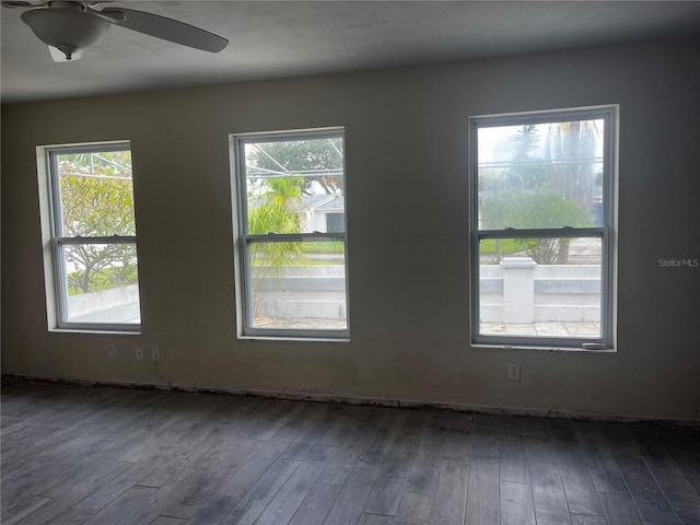1714 Delaware Ave NE, Saint Petersburg, FL 33703 - photo 6