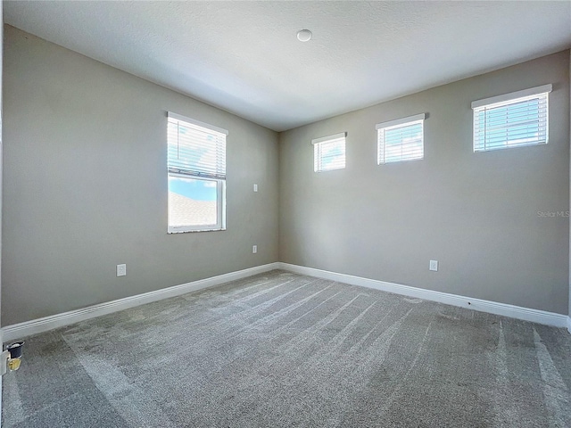 5559 Trevesta Pl, Palmetto, FL 34221 - photo 30