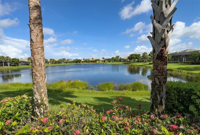 5421 Sundew, Sarasota, FL 34238 - photo 7