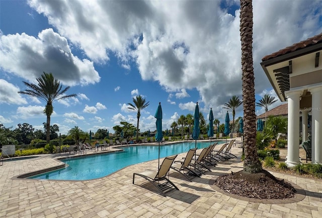 5421 Sundew, Sarasota, FL 34238 - photo 42