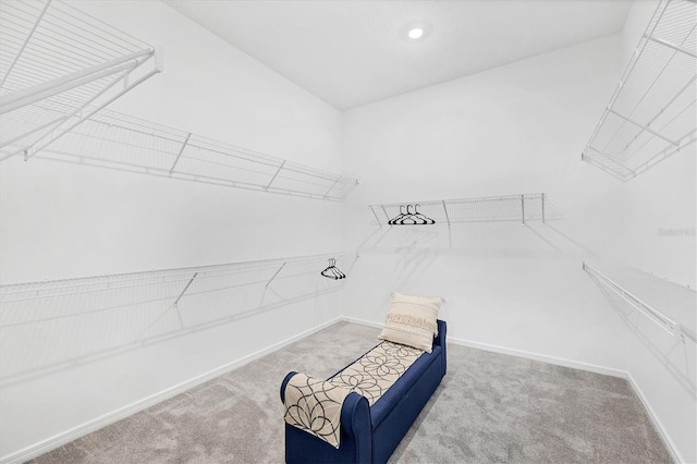 9028 Sunray Cv, Parrish, FL 34219 - photo 21