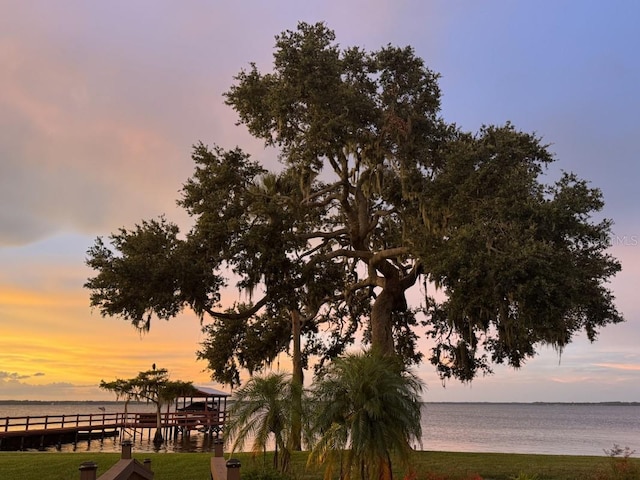 8035 Lakeside Dr, Yalaha, FL 34797 - photo 40