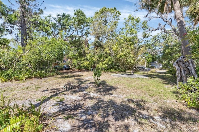 2315 Mcclellan Pkwy, Sarasota, FL 34239 - photo 21