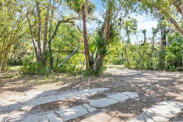 2315 Mcclellan Pkwy, Sarasota, FL 34239 - photo 25