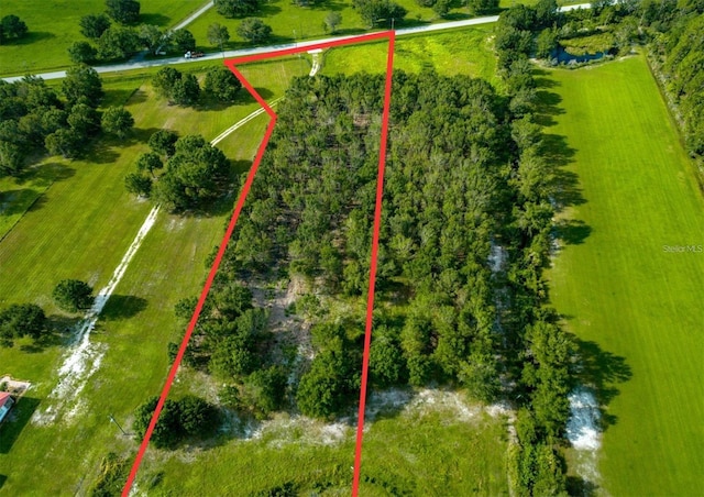 4970 Wauchula Rd, Myakka City, FL 34251 - photo 1