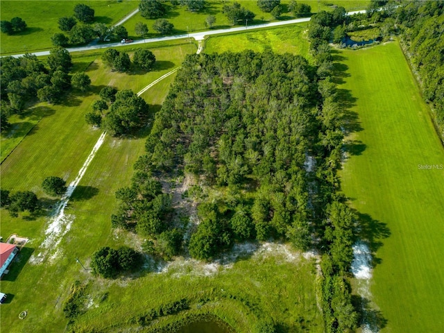 4970 Wauchula Rd, Myakka City, FL 34251 - photo 3