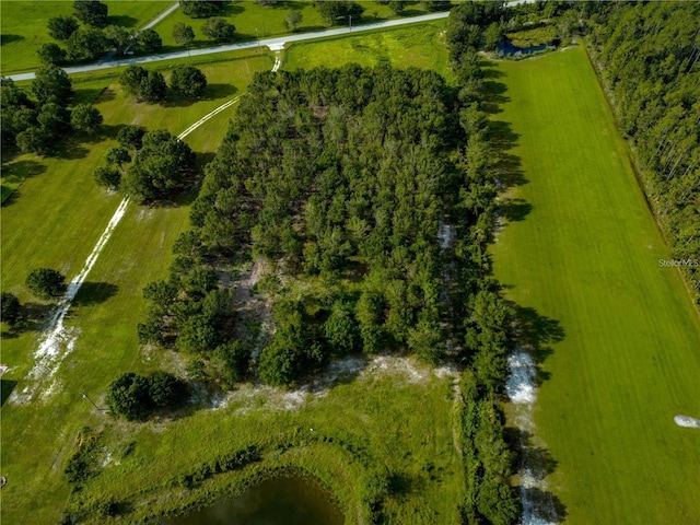 4970 Wauchula Rd, Myakka City, FL 34251 - photo 4