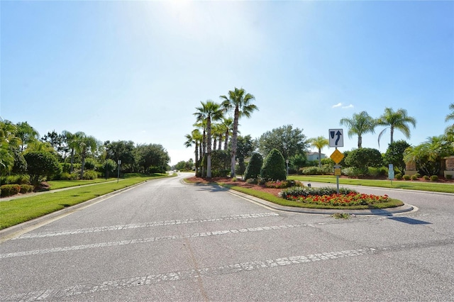 12034 Larson Ln, Parrish, FL 34219 - photo 54