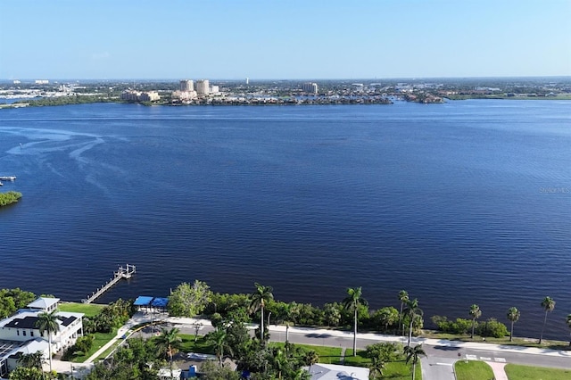 217 9th St E, Bradenton, FL 34208 - photo 29
