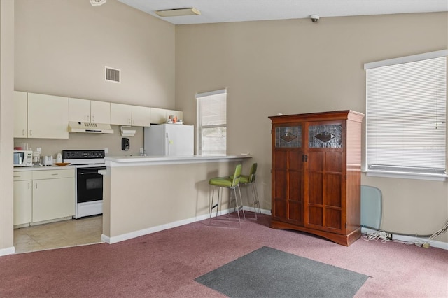 1143 Longfellow Rd, Sarasota, FL 34243 - photo 54