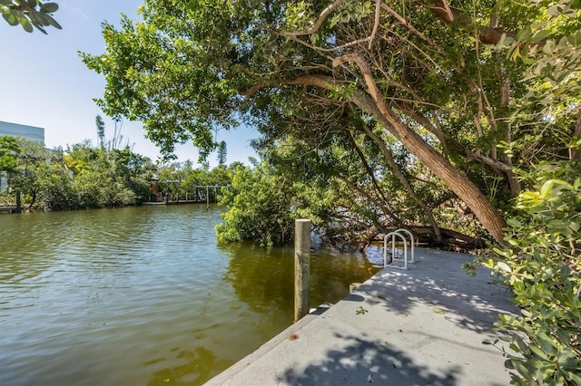 413 Poinsettia Rd, Anna Maria, FL 34216 - photo 26
