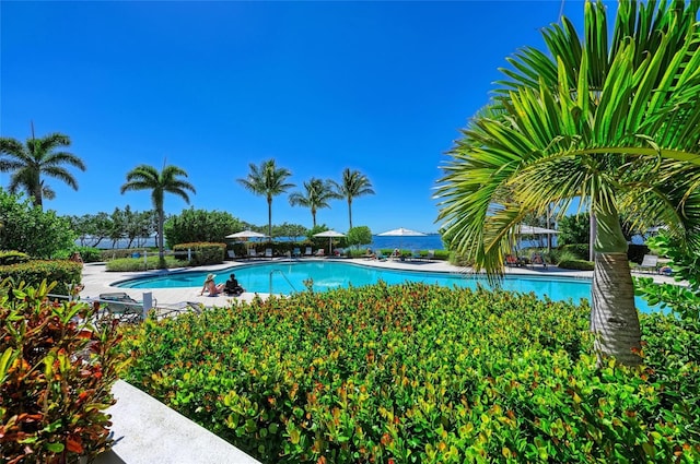 387 Aruba Cir Unit 301, Bradenton, FL 34209 - photo 86