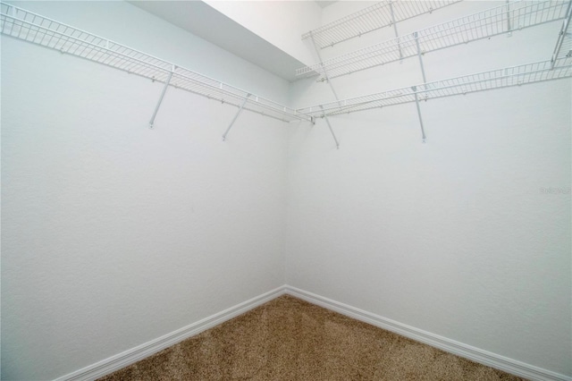 7139 Cedar Hollow Cir Unit 101, Bradenton, FL 34203 - photo 20