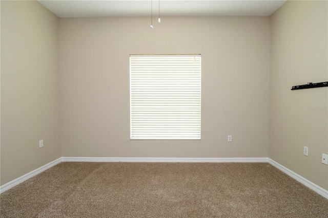7139 Cedar Hollow Cir Unit 101, Bradenton, FL 34203 - photo 25