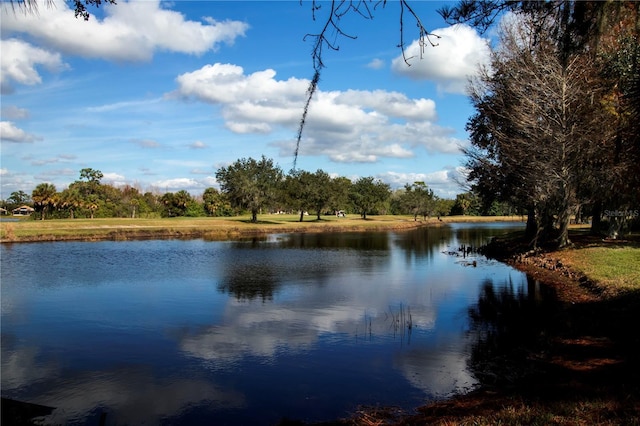 7139 Cedar Hollow Cir Unit 101, Bradenton, FL 34203 - photo 37