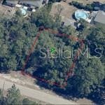3513 W Marshal Pl, Dunnellon, FL 34433 - photo 2