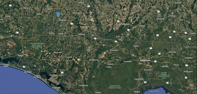 3725 Franklin Rd, Graceville, FL 32440 - photo 5