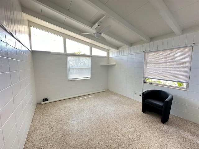 2223 Bay St, Sarasota, FL 34237 - photo 8