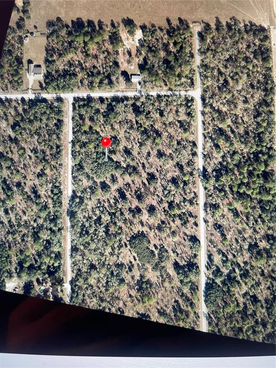 0000 SW Willow Rd, Dunnellon, FL 34431 - photo 2