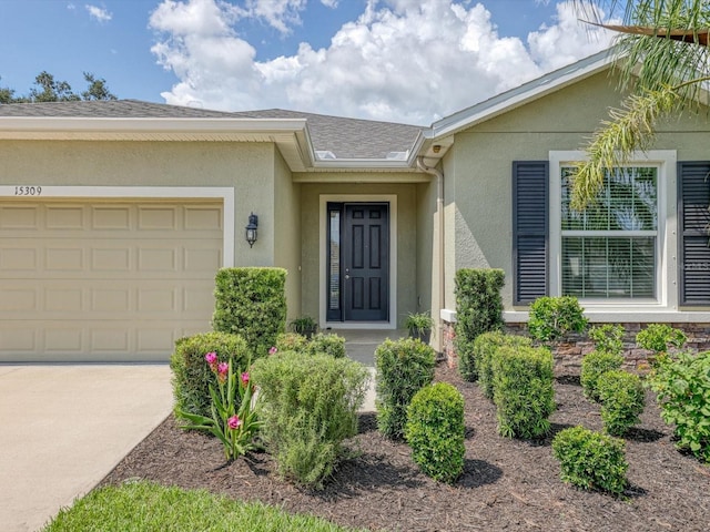 15309 Trinity Fall Way, Bradenton, FL 34212 - photo 4