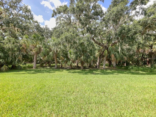 15309 Trinity Fall Way, Bradenton, FL 34212 - photo 38