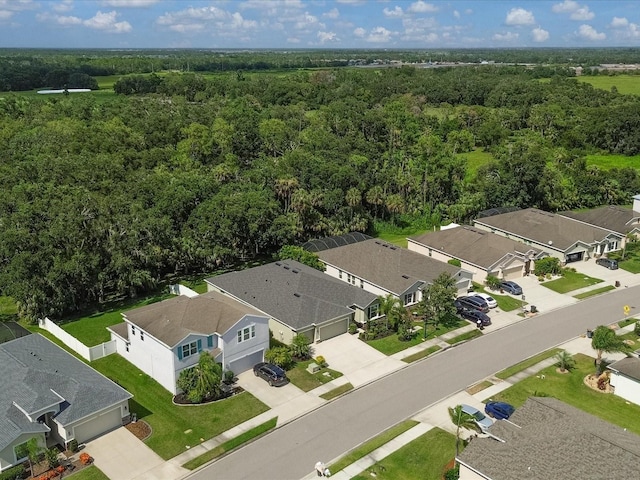15309 Trinity Fall Way, Bradenton, FL 34212 - photo 40