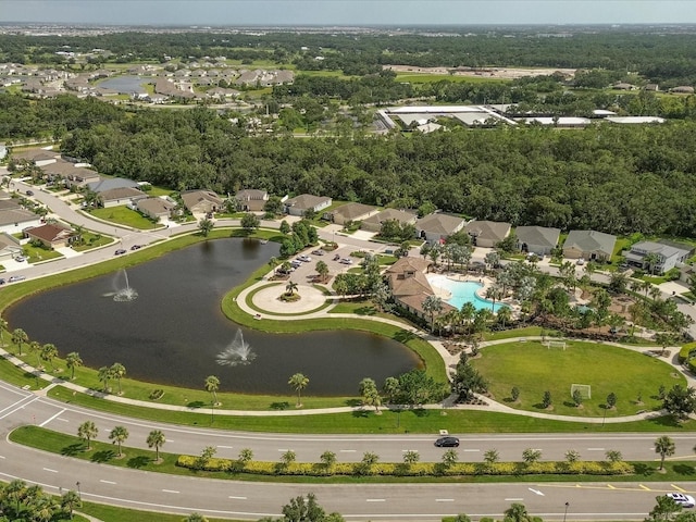 15309 Trinity Fall Way, Bradenton, FL 34212 - photo 58
