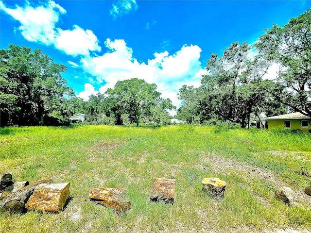 1108 19th St W, Bradenton, FL 34205 - photo 6