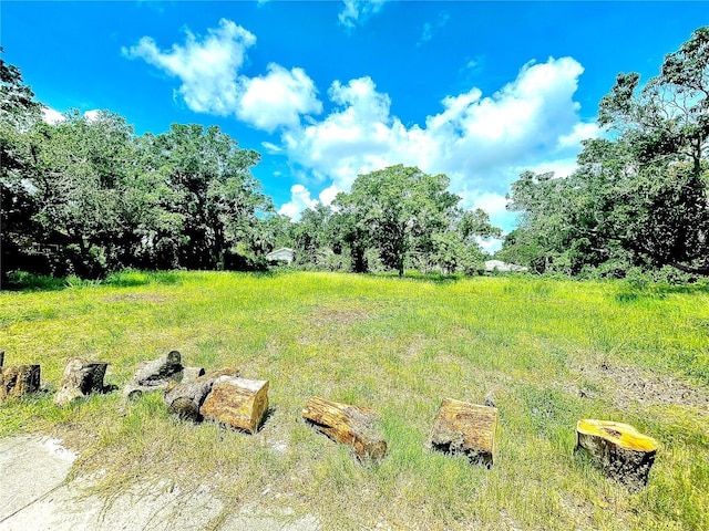 1108 19th St W, Bradenton, FL 34205 - photo 8