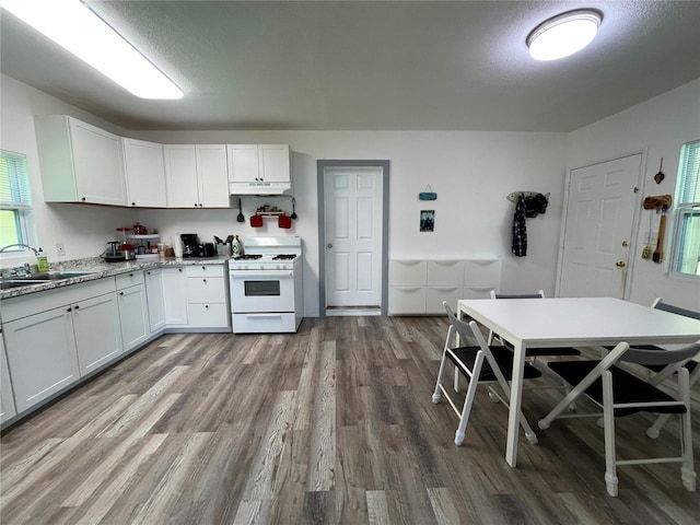 1162 County Road 20a, Hawthorne, FL 32640 - photo 9