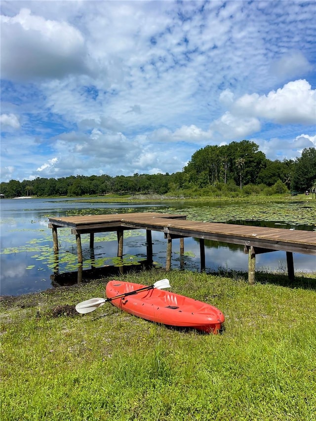 1162 County Road 20a, Hawthorne, FL 32640 - photo 27