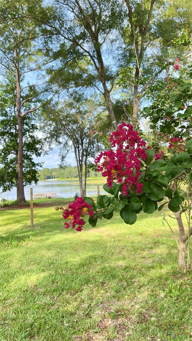 1162 County Road 20a, Hawthorne, FL 32640 - photo 36