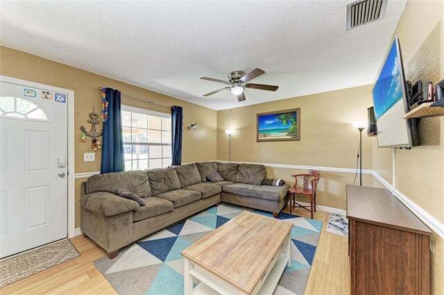 1019 27th Ave W, Palmetto, FL 34221 - photo 4