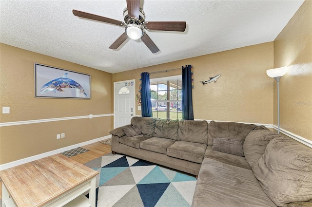 1019 27th Ave W, Palmetto, FL 34221 - photo 5