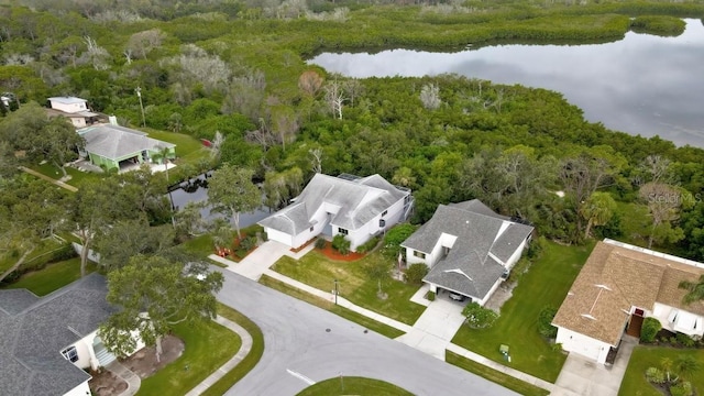1036 Lake Avoca Dr, Tarpon Springs, FL 34689 - photo 9