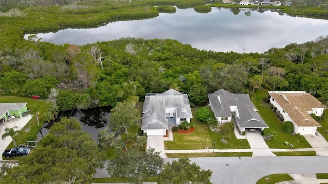 1036 Lake Avoca Dr, Tarpon Springs, FL 34689 - photo 10