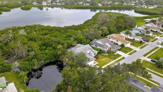1036 Lake Avoca Dr, Tarpon Springs, FL 34689 - photo 45