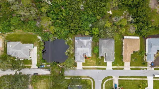 1036 Lake Avoca Dr, Tarpon Springs, FL 34689 - photo 46