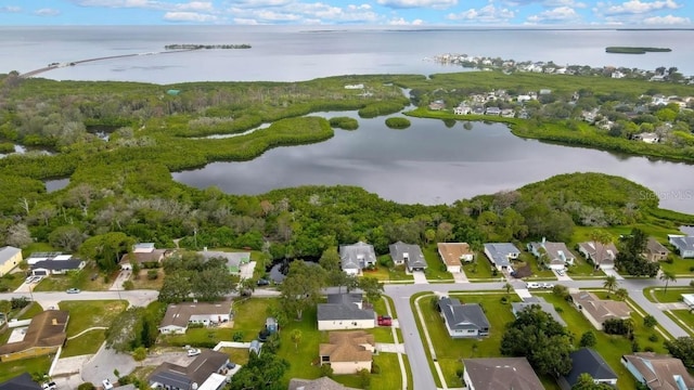 1036 Lake Avoca Dr, Tarpon Springs, FL 34689 - photo 47