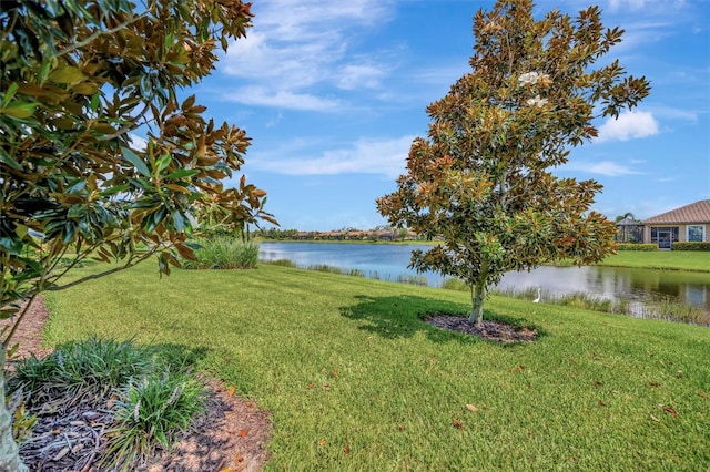 5548 Sentiero Dr, Nokomis, FL 34275 - photo 54