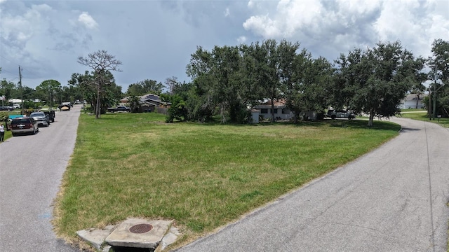 513 Pine Rd, Nokomis, FL 34275 - photo 13