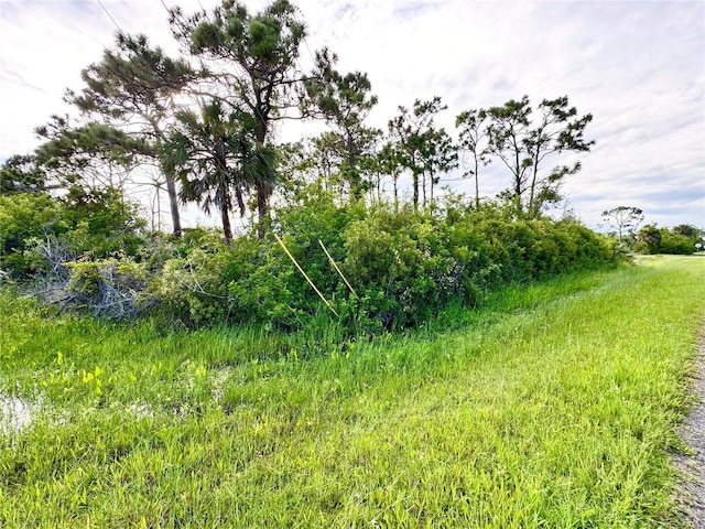 4635 Spire St, Port Charlotte, FL 33981 - photo 8