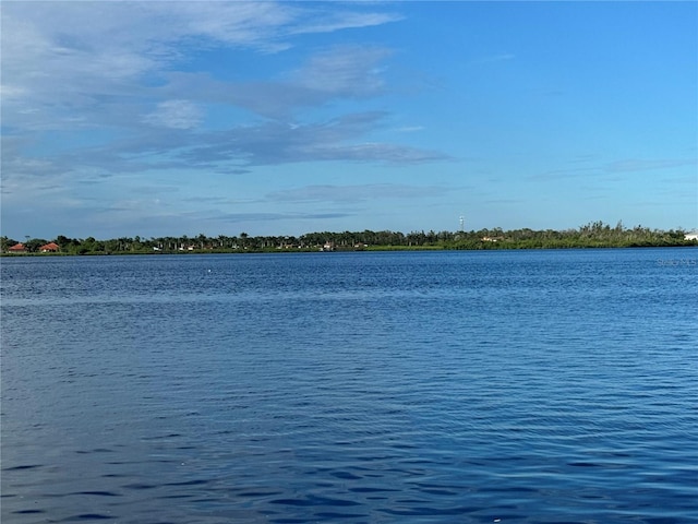 4635 Spire St, Port Charlotte, FL 33981 - photo 12