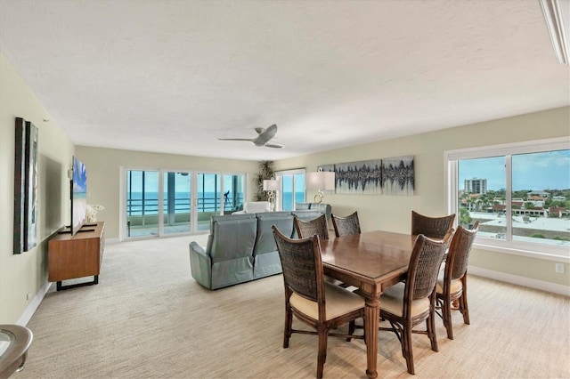 550 W Flamingo Dr Unit 401, Venice, FL 34285 - photo 8