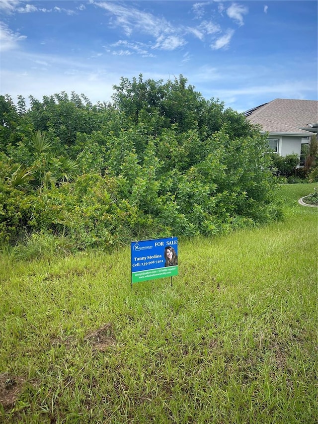 10039 Duquesne St, Port Charlotte, FL 33981 - photo 3