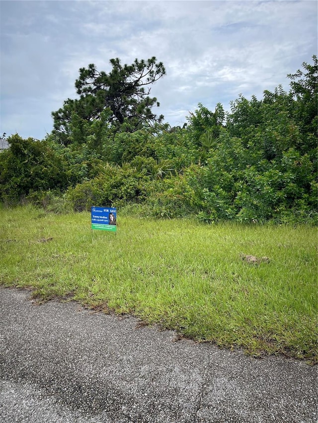 10039 Duquesne St, Port Charlotte, FL 33981 - photo 5