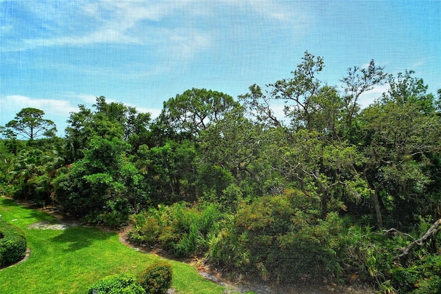 401 N Point Rd Unit 304, Osprey, FL 34229 - photo 21