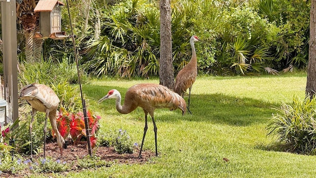 7215 San Miguel Cv, Bradenton, FL 34201 - photo 47
