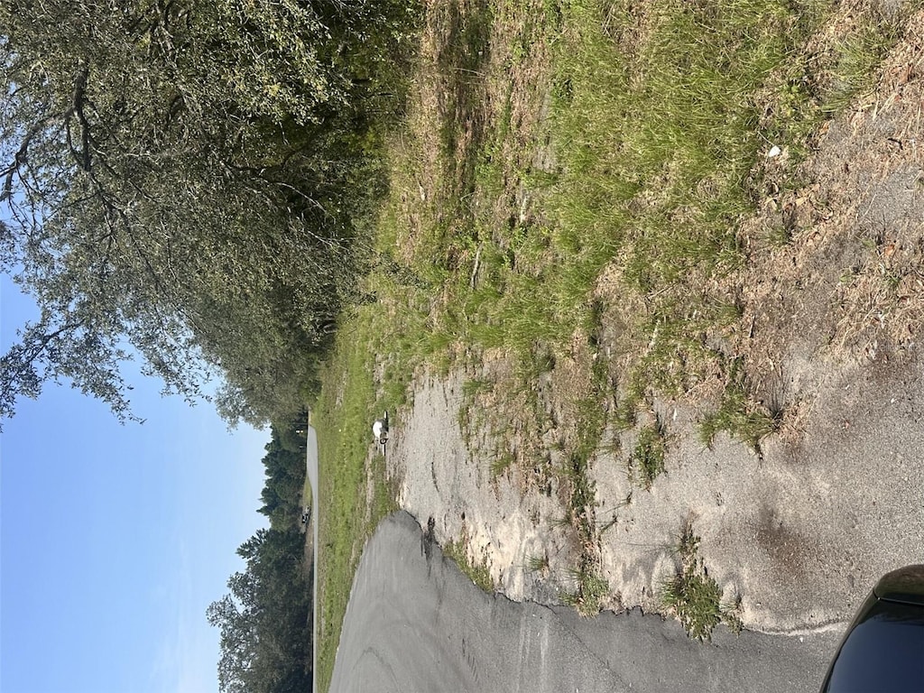 Beverly Ct, Spring Hill, FL 34606 - photo 2